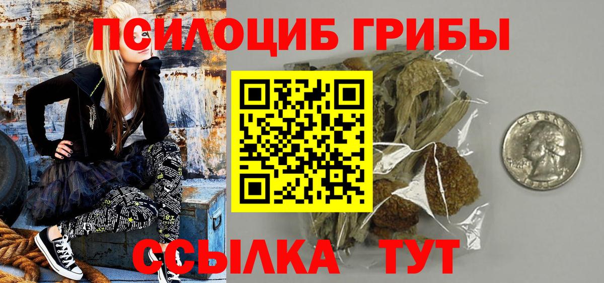 Псилоцибиновые грибы GOLDEN TEACHER Спасск-Дальний